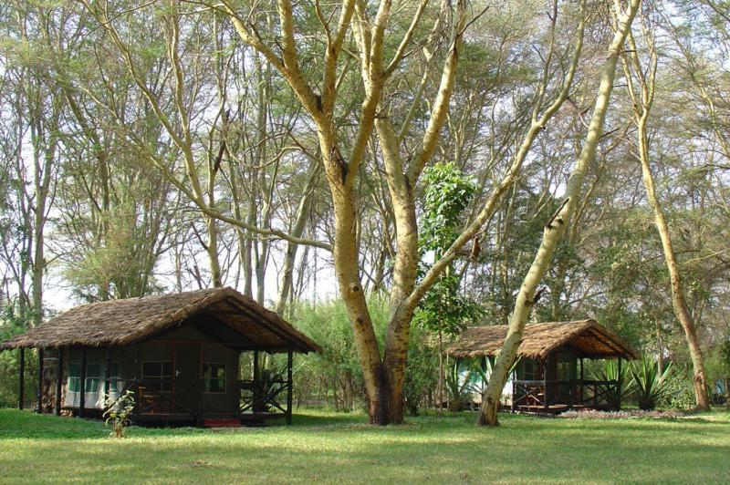 Migunga Tented Camp Mto wa Mbu Bagian luar foto