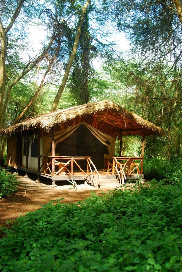Migunga Tented Camp Mto wa Mbu Bagian luar foto