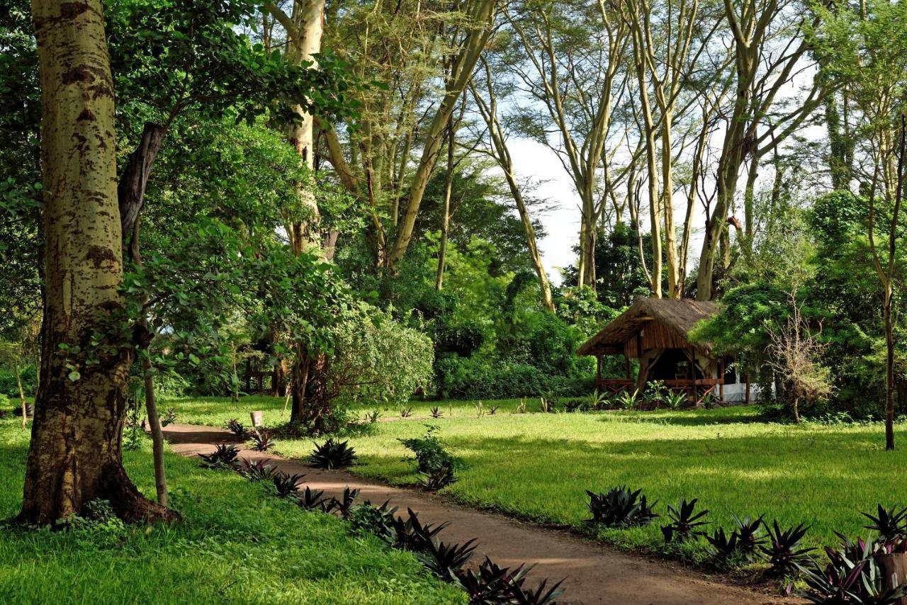Migunga Tented Camp Mto wa Mbu Bagian luar foto
