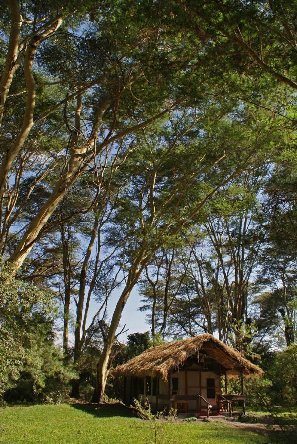 Migunga Tented Camp Mto wa Mbu Bagian luar foto