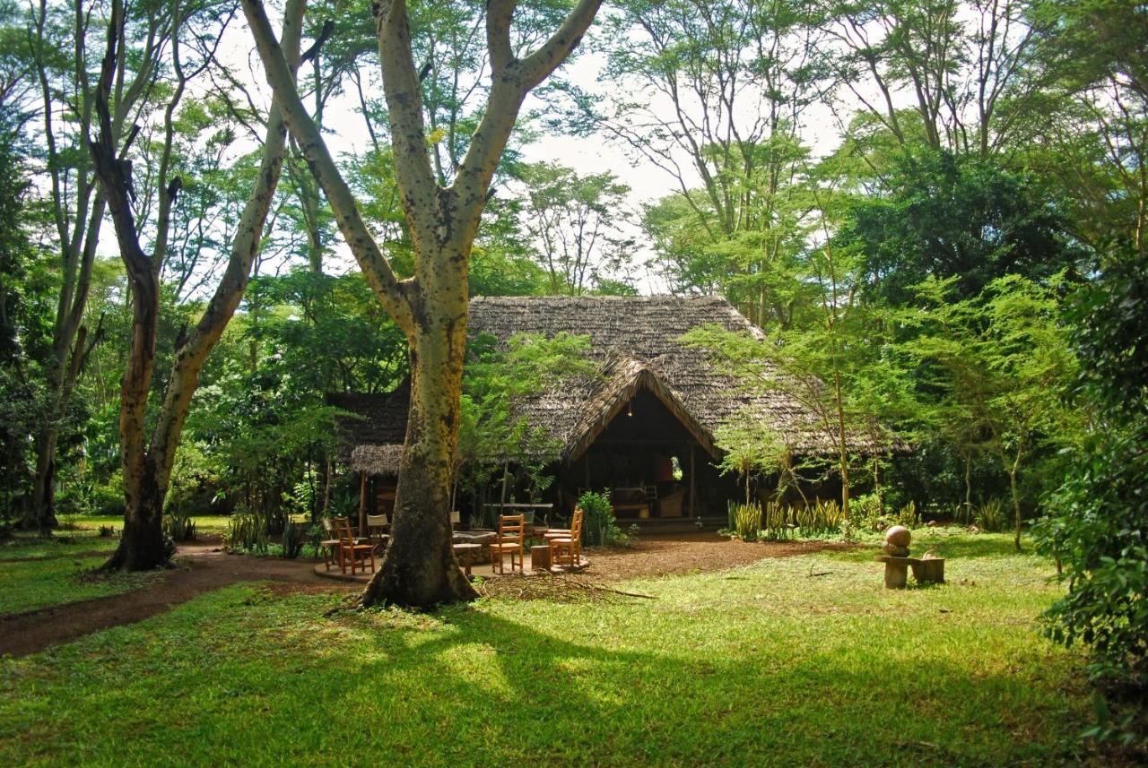 Migunga Tented Camp Mto wa Mbu Bagian luar foto
